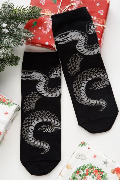 Носки мужские Змей комплект 1 пара - серый (НТ)