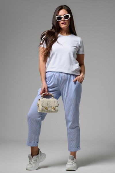 Брюки 9154 - полоса голубая (НТ)