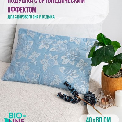 Подушка Bio-Line с лузгой гречихи PG40.60 - голубой (НТ)