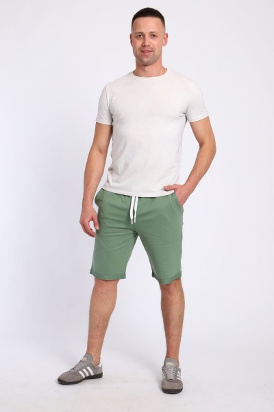 шорты мужские 83903 - светло-зеленый (НТ)