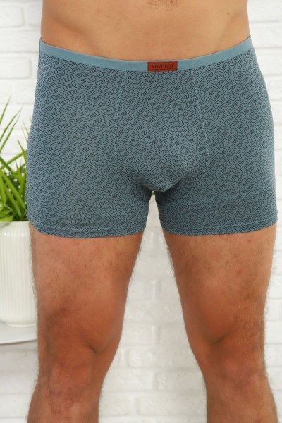 Трусы 64831 - мультицвет (НТ)