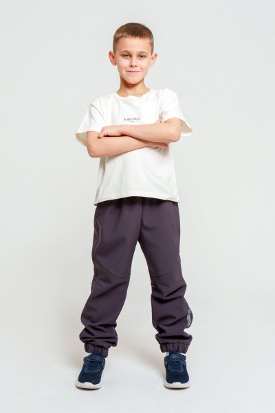 Брюки утепленные софтшелл - графит (НТ)