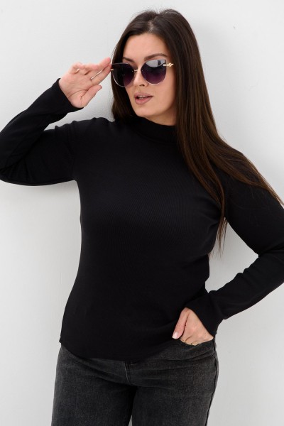 52713 Водолазка женская - черный (НТ)