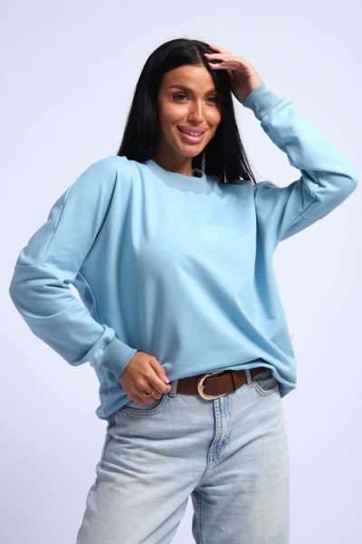 Свитшот женский 290 - голубой (НТ) Свитшот женский 290 - голубой (НТ)