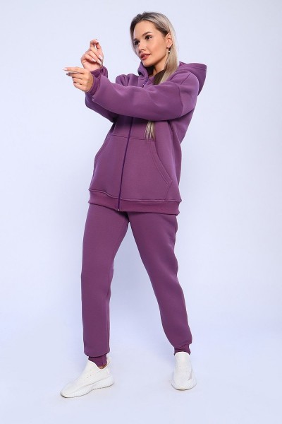 688 Костюм с начесом ZIP - ежевичный (НТ)