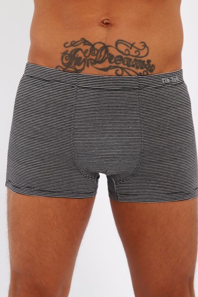 Трусы мужские 45060 - микс (НТ)