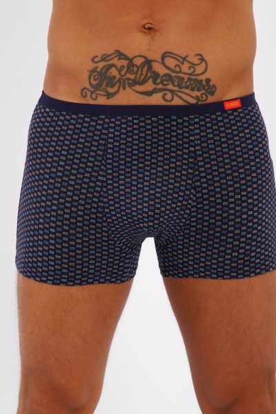 Трусы мужские 28613 - микс (НТ)