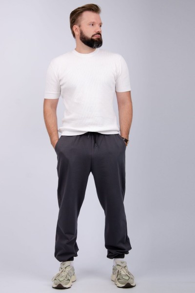 Брюки Тайлер - серые (НТ) Брюки Тайлер - серые (НТ)