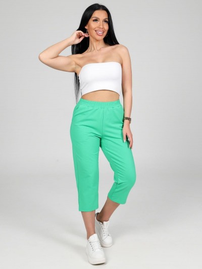 Финикс - бриджи зеленый (ИК)