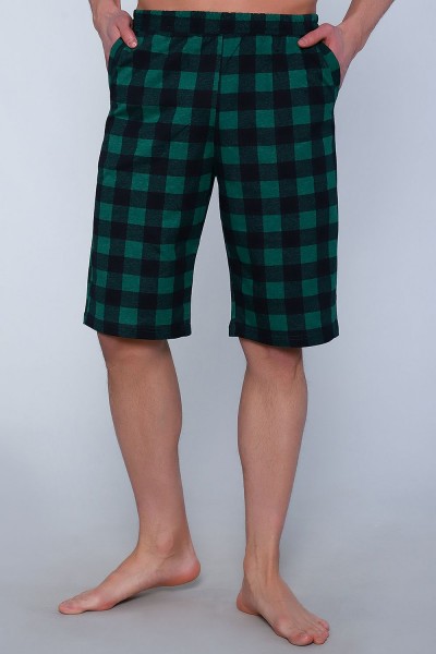 Шорты 71061 - зеленый (НТ)