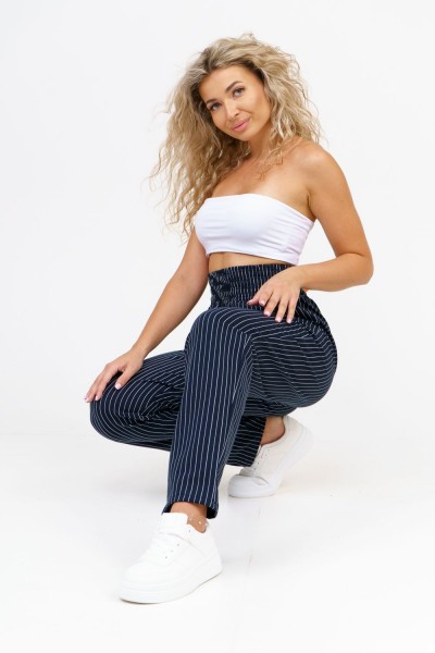 Брюки 36658 - синий с полосой (НТ)