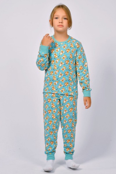 Пижама детская 91223 - пастельно-бирюзовый корги (НТ)