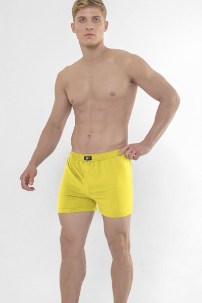 Трусы мужские классические Cavalo Marinho СТЭ - зеленый (НТ) Трусы мужские классические Cavalo Marinho СТЭ - зеленый (НТ)