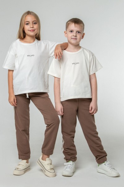 Брюки 1779 - коричневый (НТ)