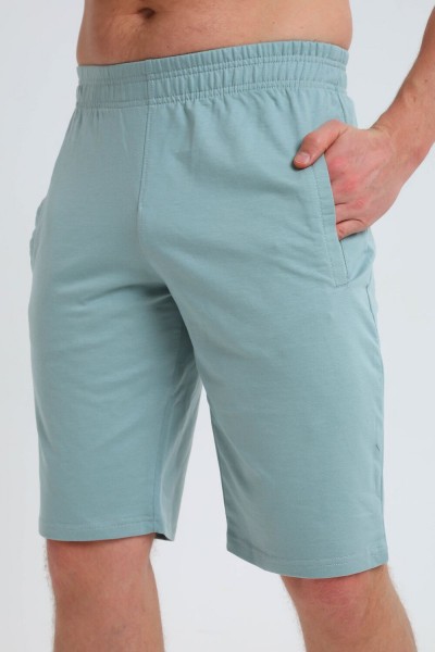 22280 Шорты мужские - зеленый (НТ)